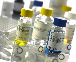 乙型流感病毒RNA質(zhì)控品